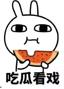 娱乐吃瓜酱理科,理科视角下的娱乐圈揭秘